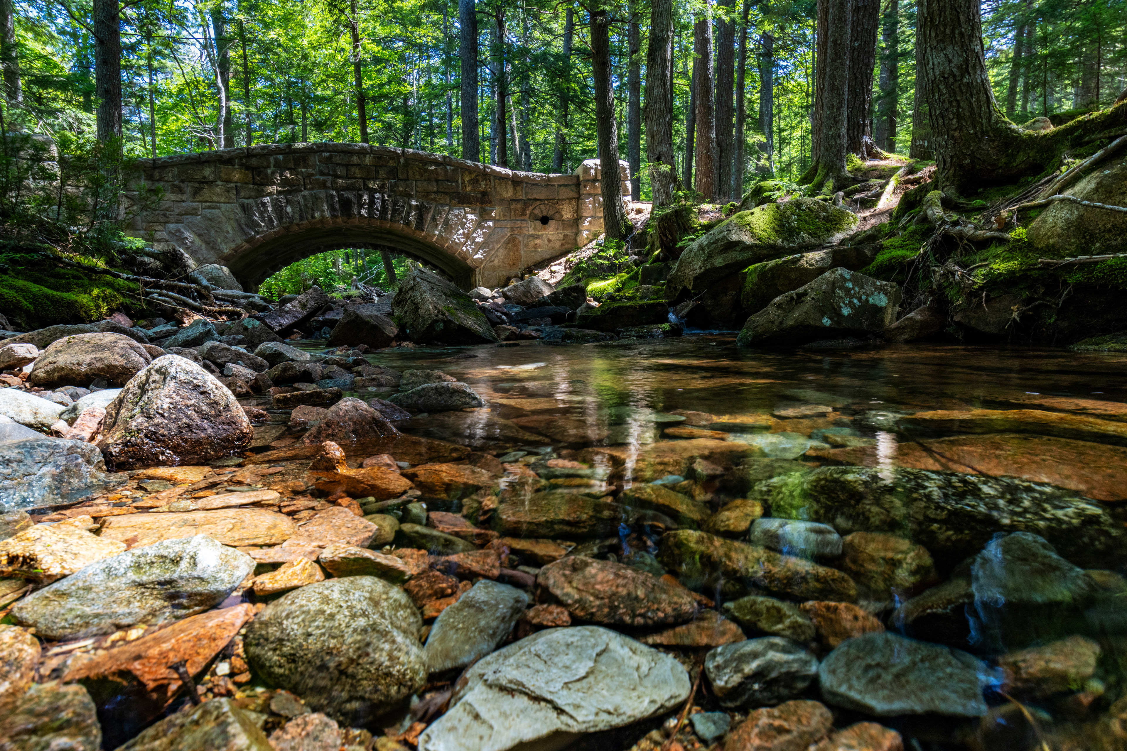 A rustic stone bridge in a forest with a shallow stream running through it.