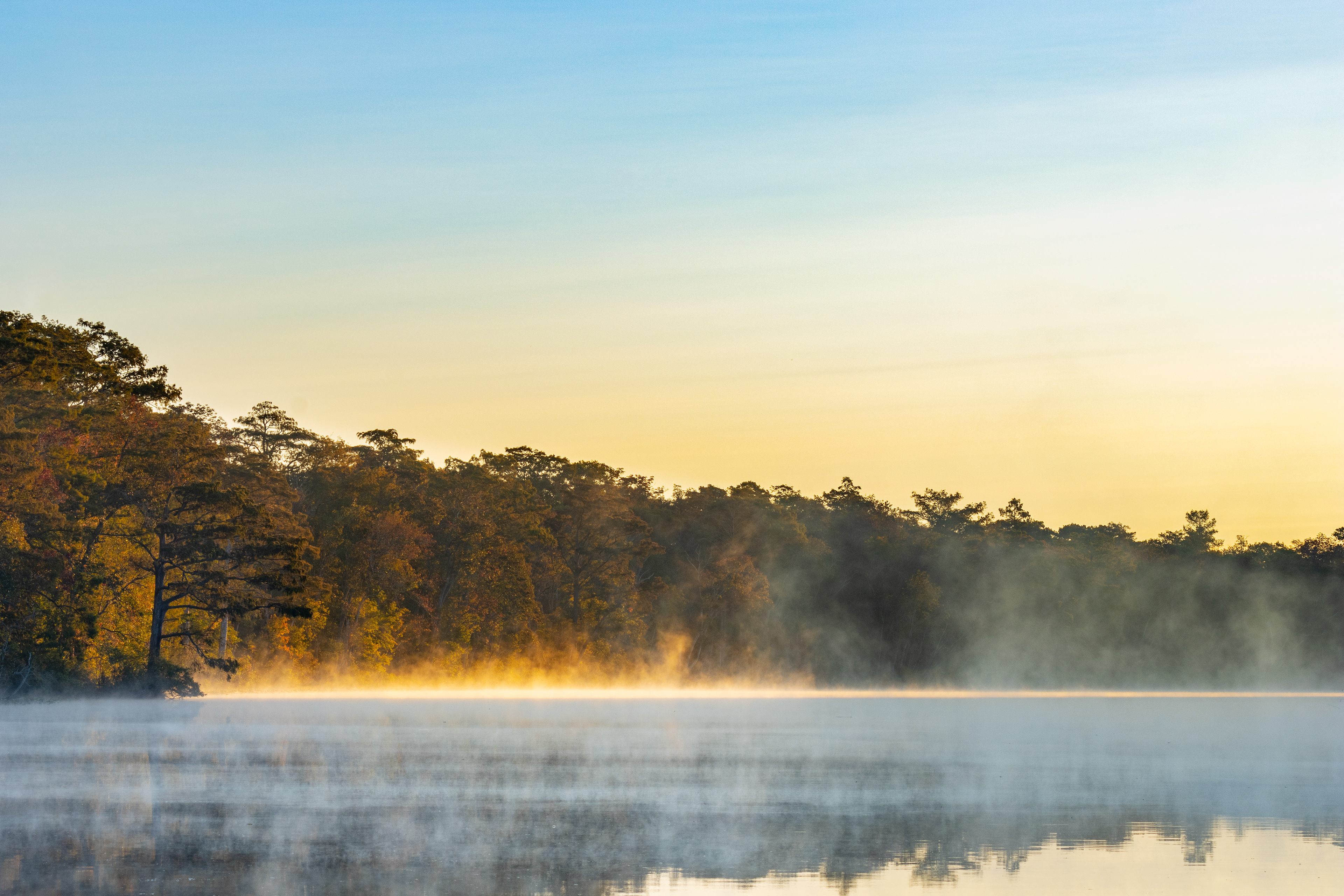 Mist on a tree-lined river in pale early morning light.