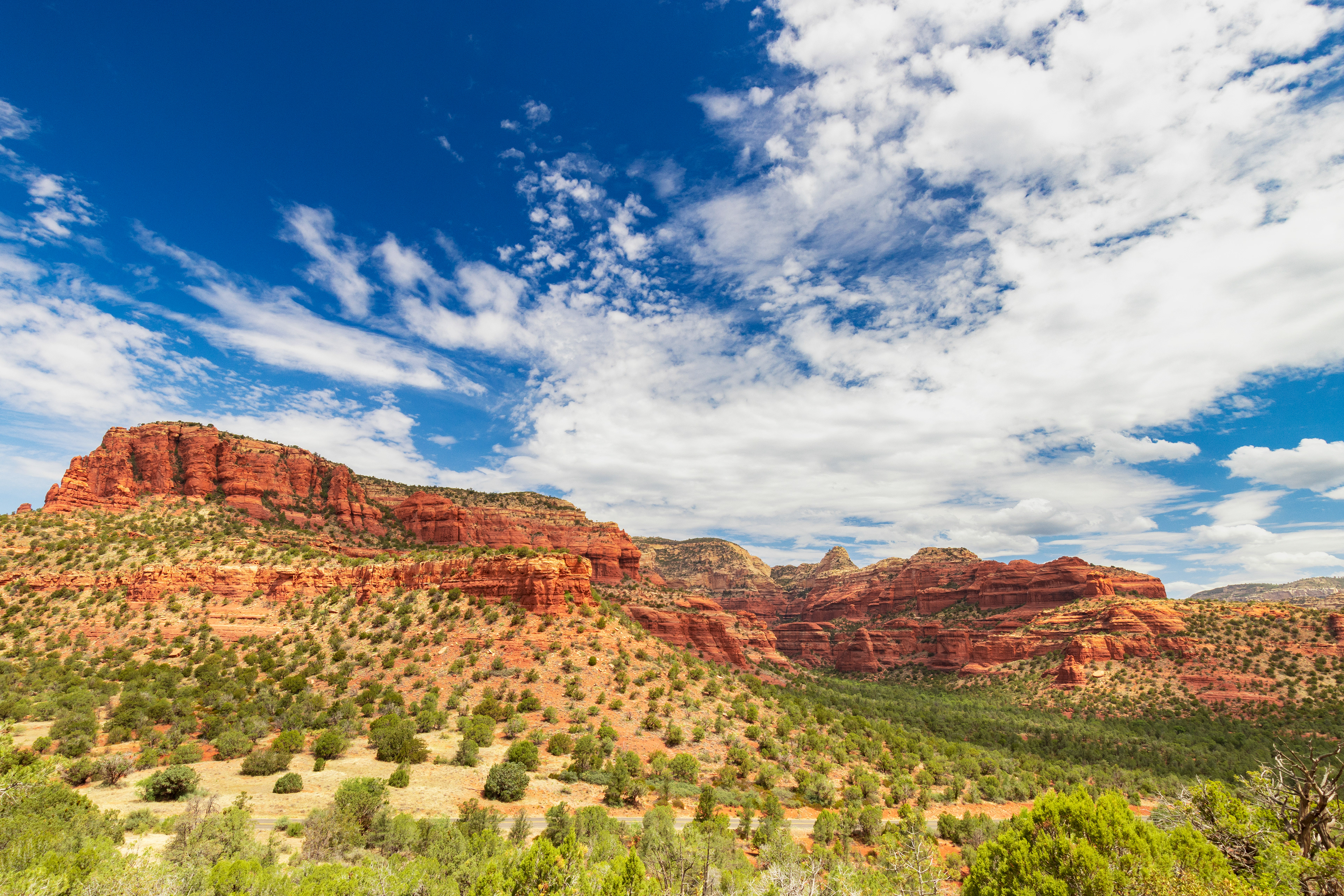 A reddish orange rocky landscape dotted with short green shrubs.