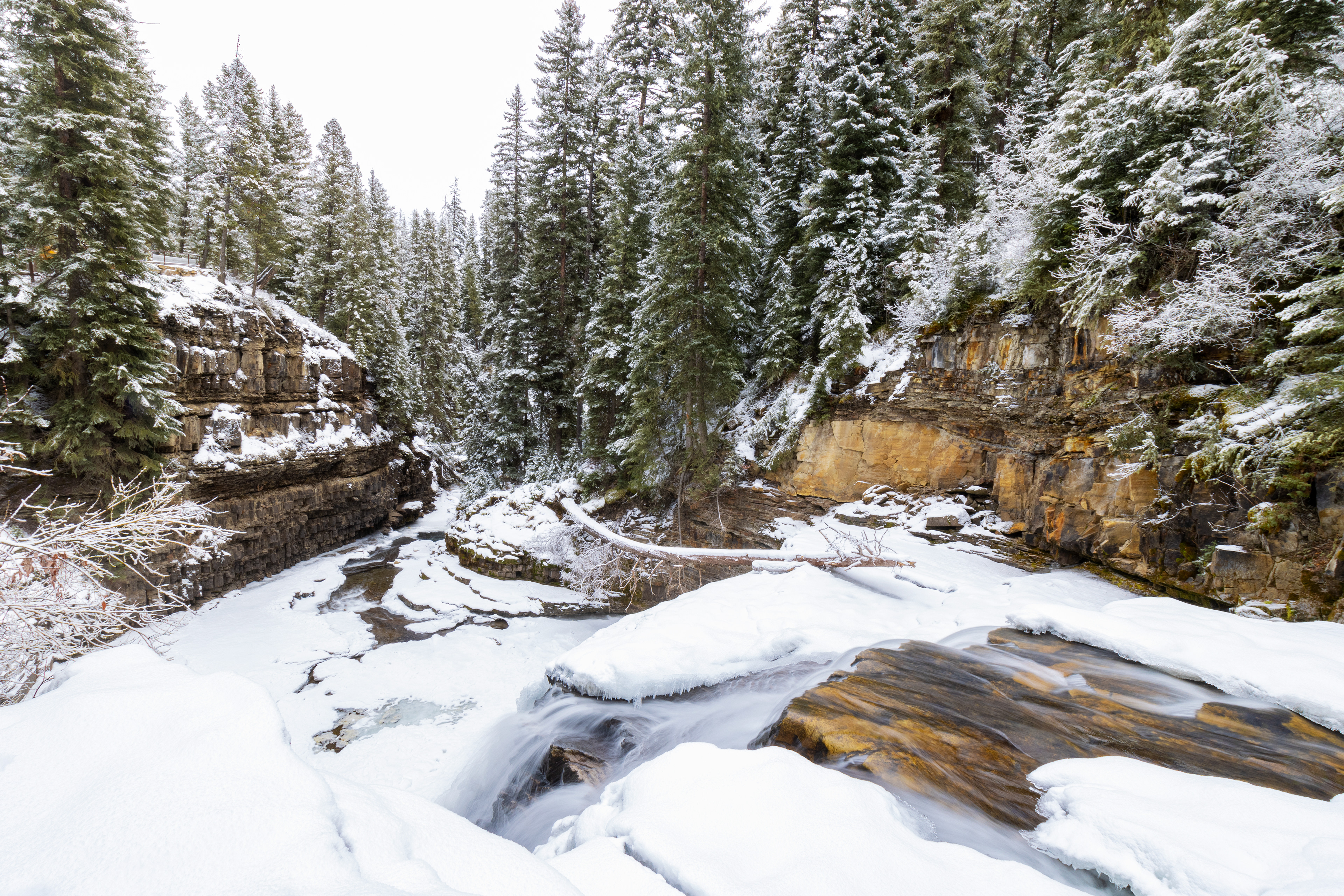 A waterfall dropping into a snowy landscape with tall pine trees.