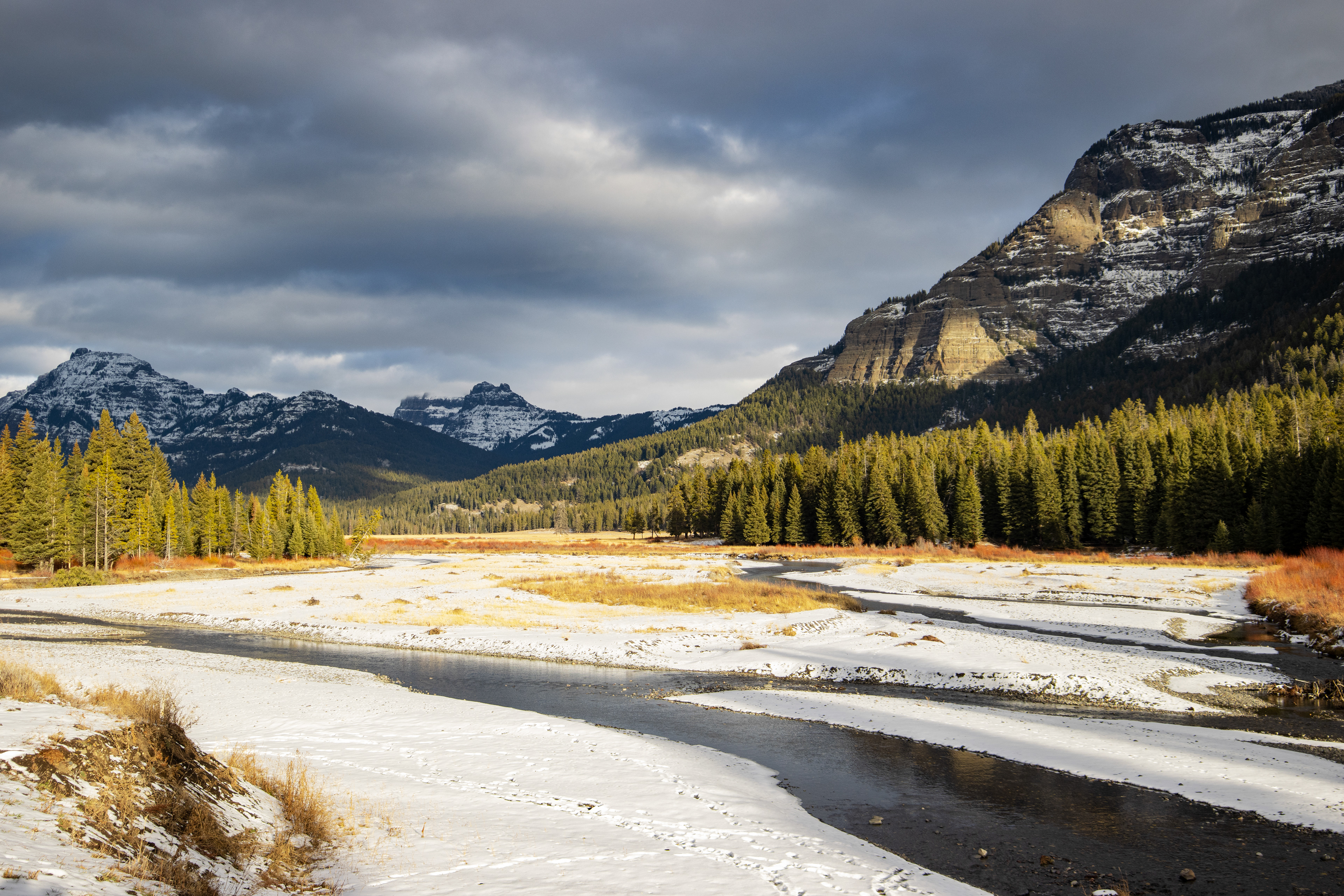 A narrow open river in a snowy valley with pine trees and mountains in the background.