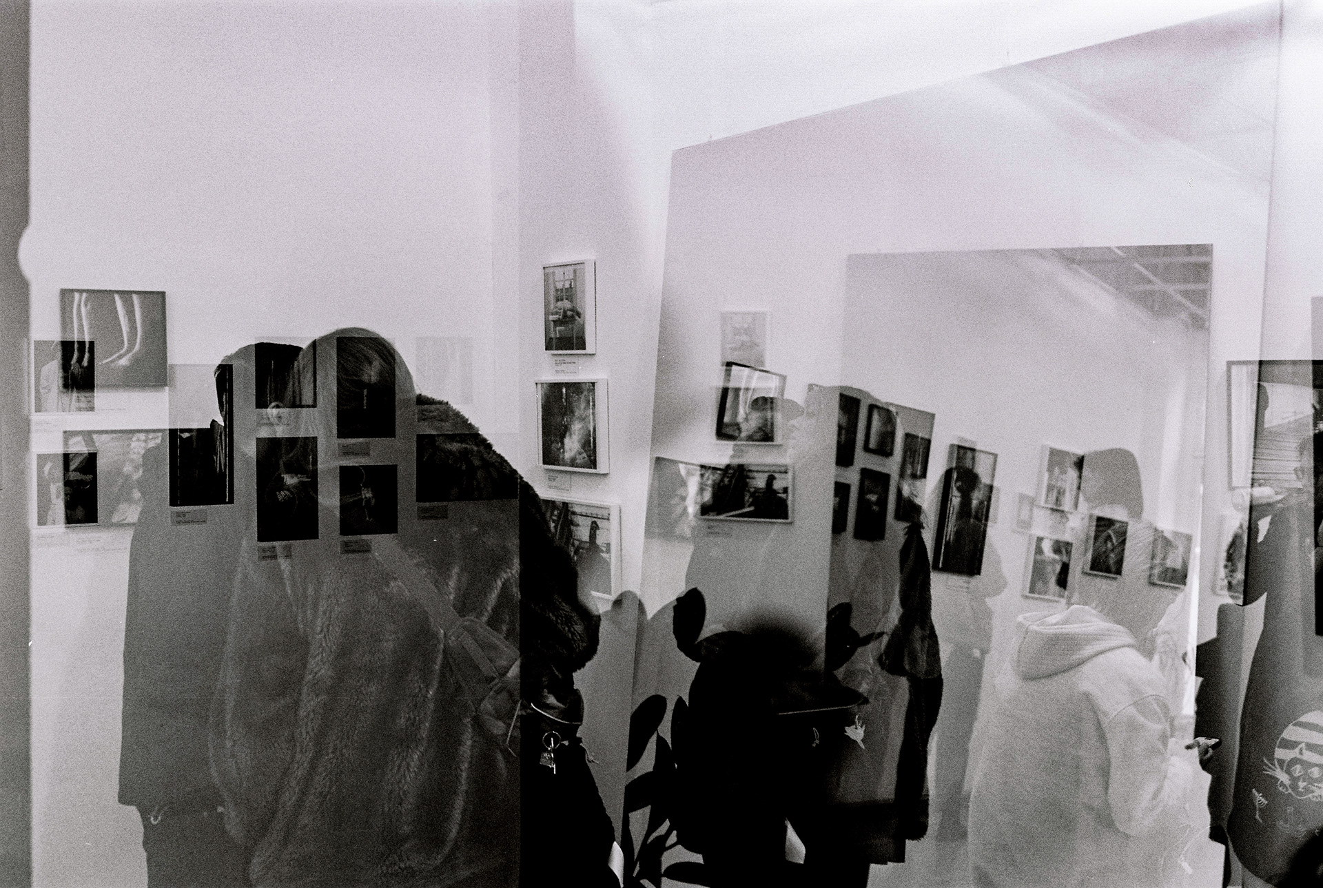 by Ljubomir Trajkovski