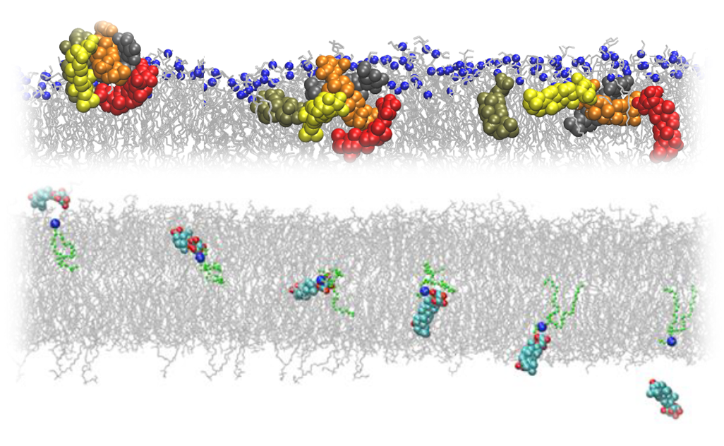Saponin-based antibiotics - Review article