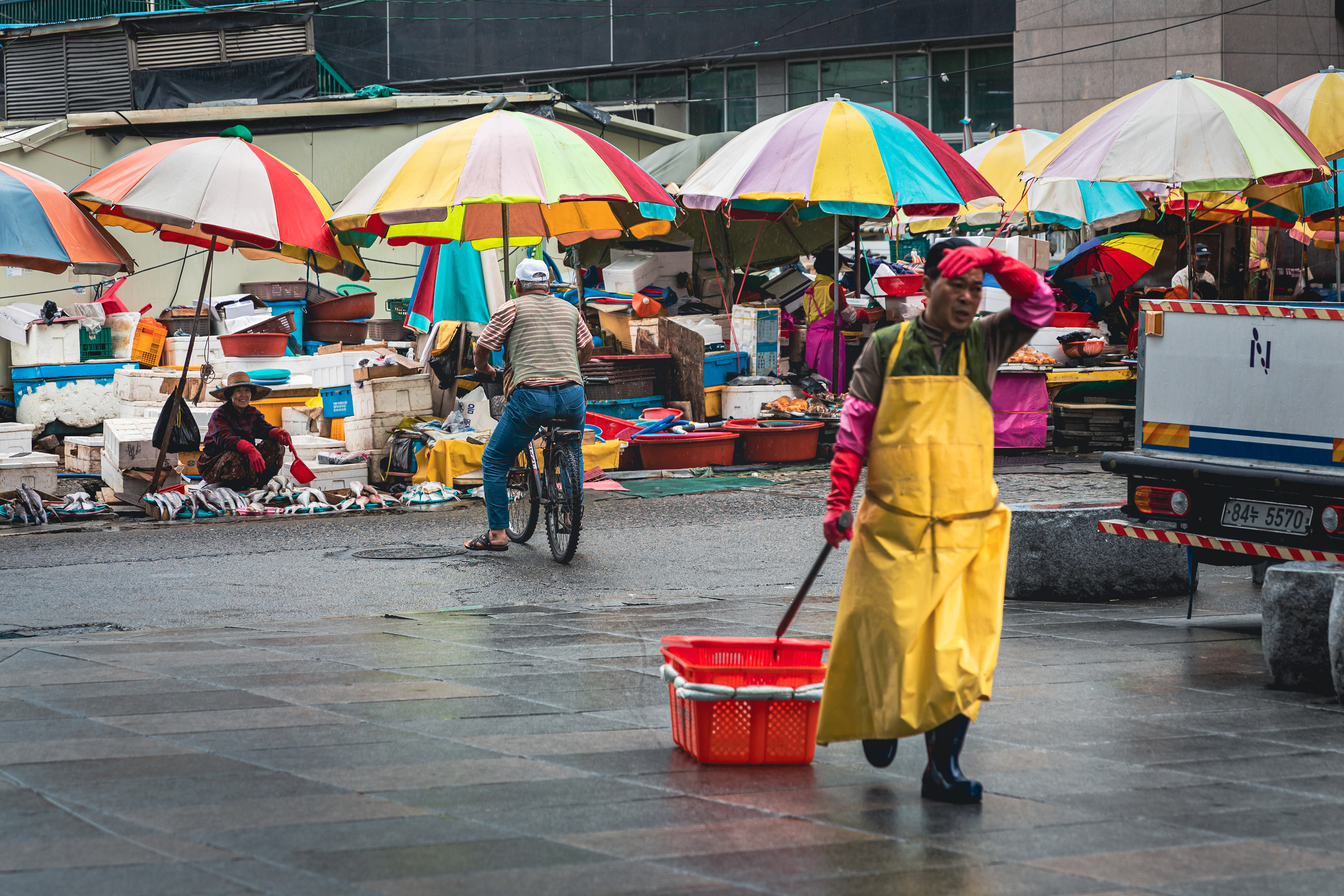 Jalgachi Market, Busan - 2023