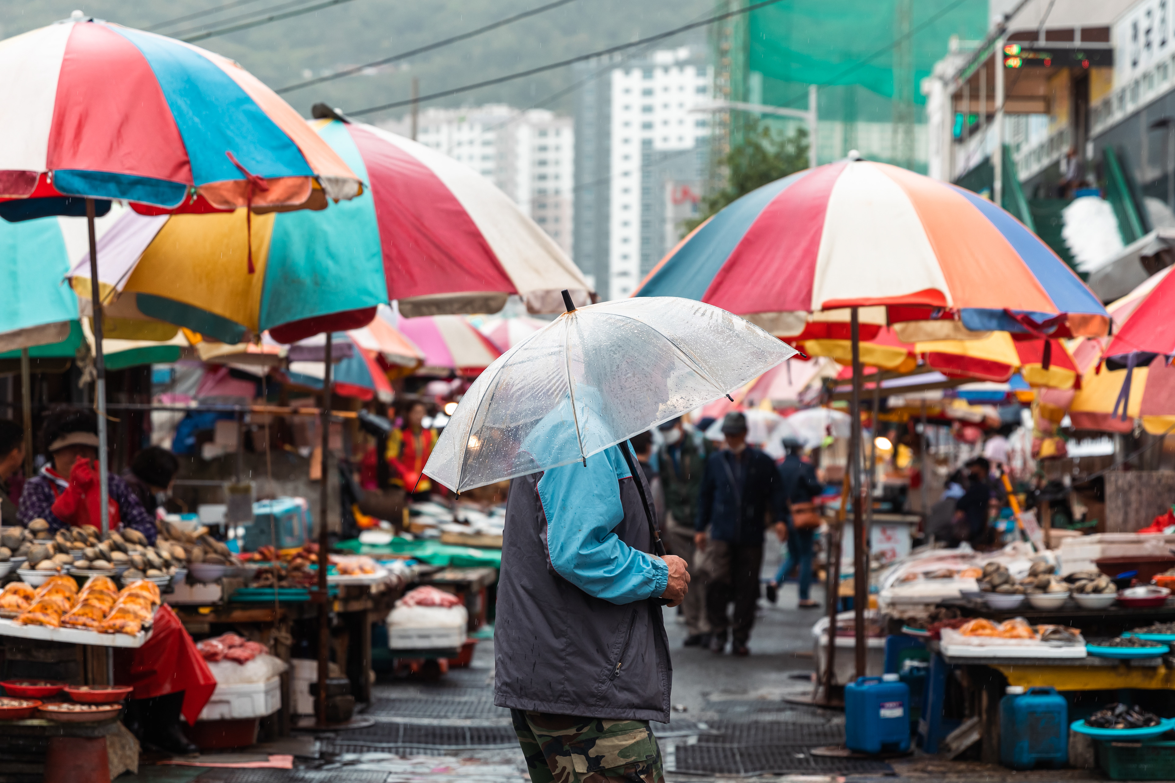 Jalgachi Market, Busan - 2023