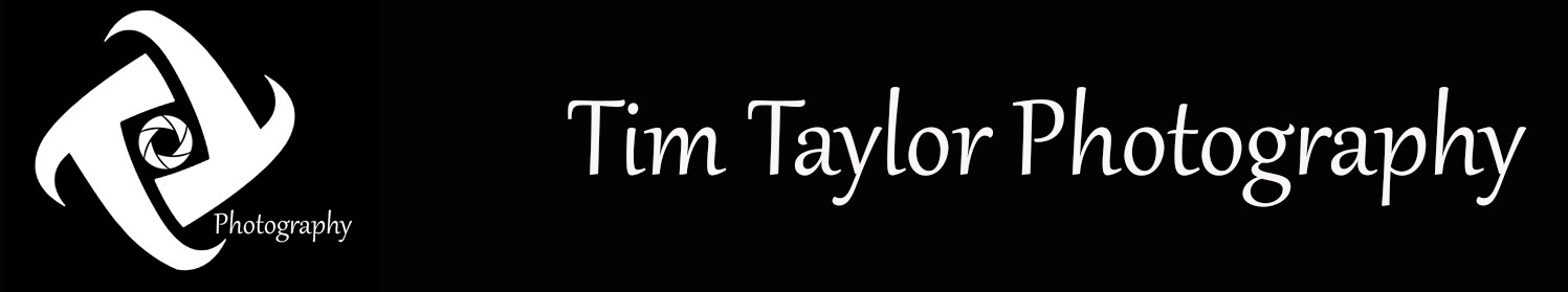 tim taylor