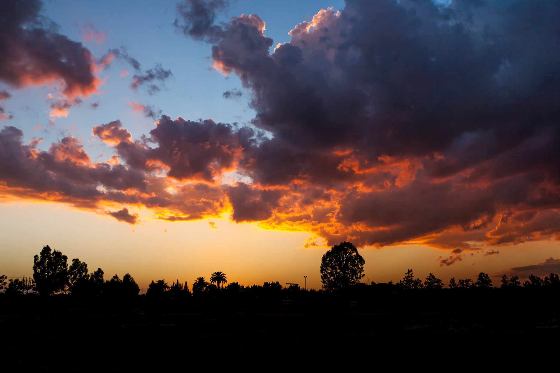 Archeological area of Metapontum, Basilicata - Italy