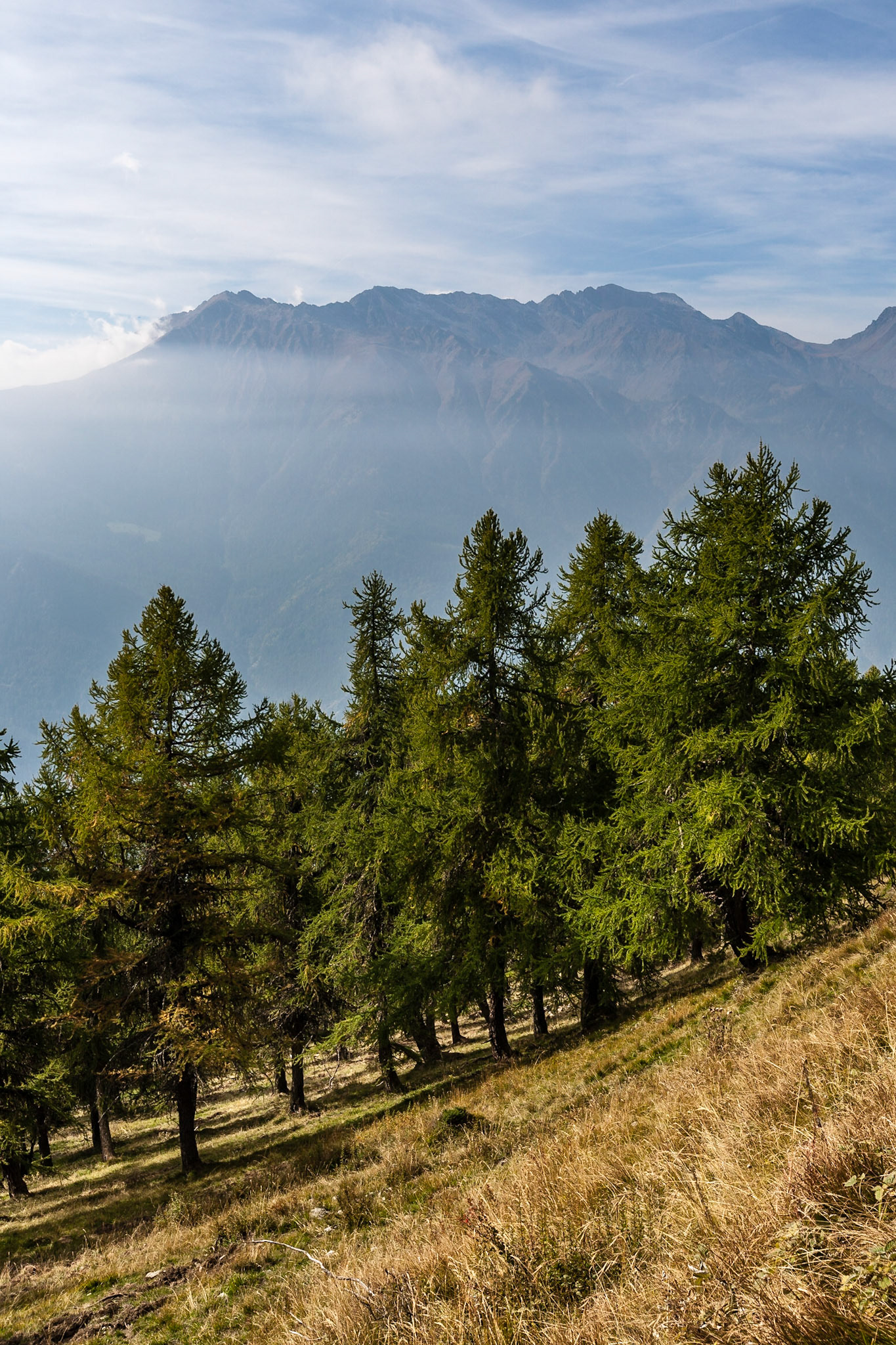Parco Naturale Orsiera Rocciavrè, Valle Chisone