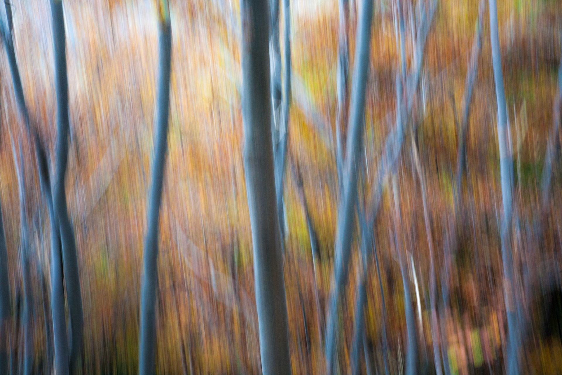 Val Chisone | Piemonte | Italy