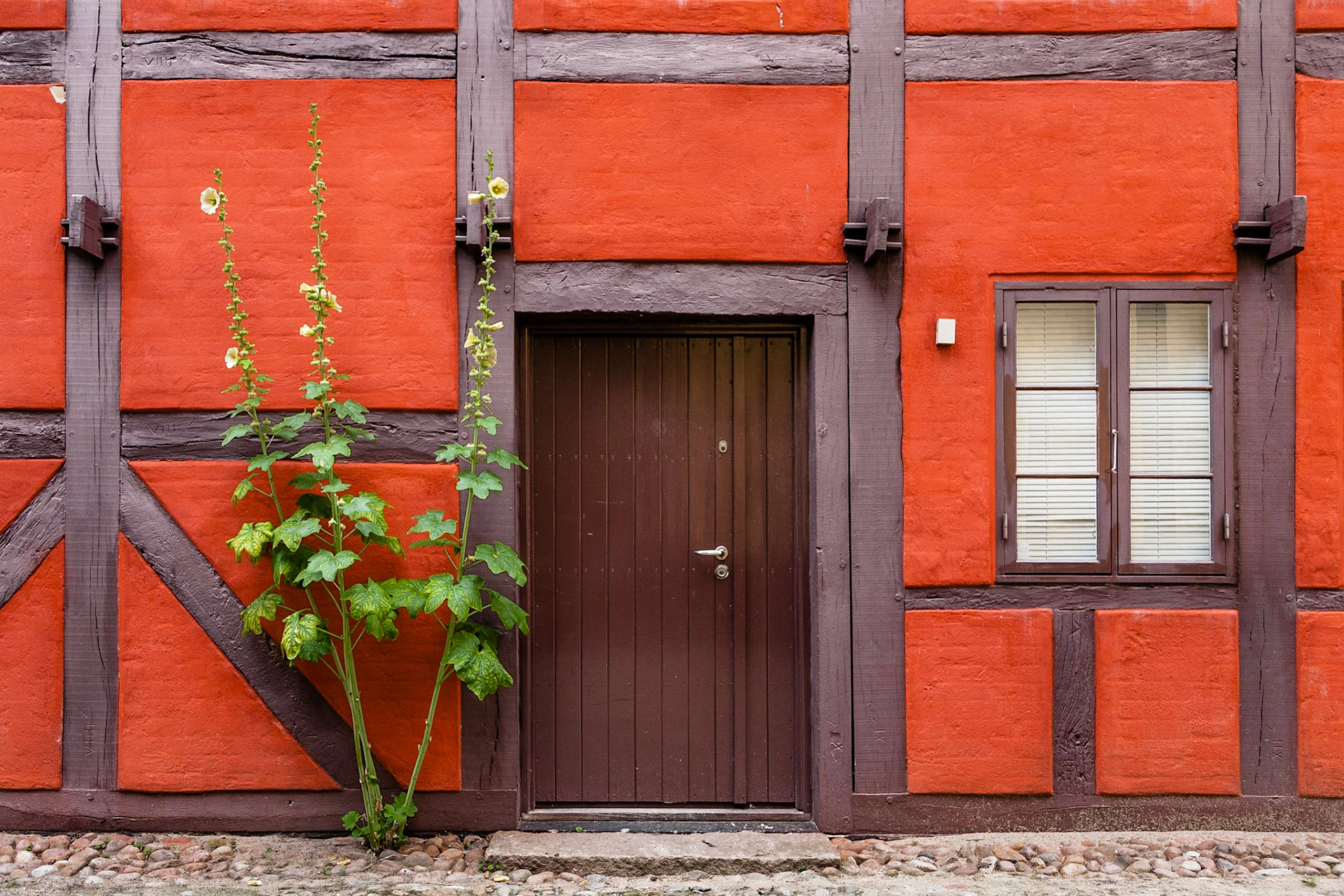 Aalborg - Nordjylland