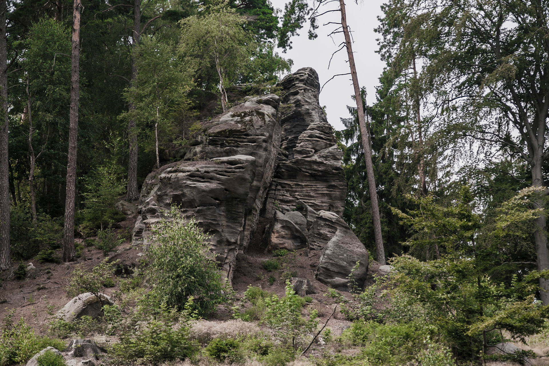 Jičín | Prachovske Rocks