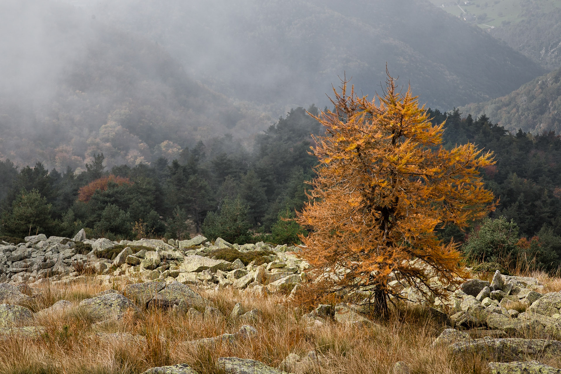 Val Chisone | Piemonte | Italy