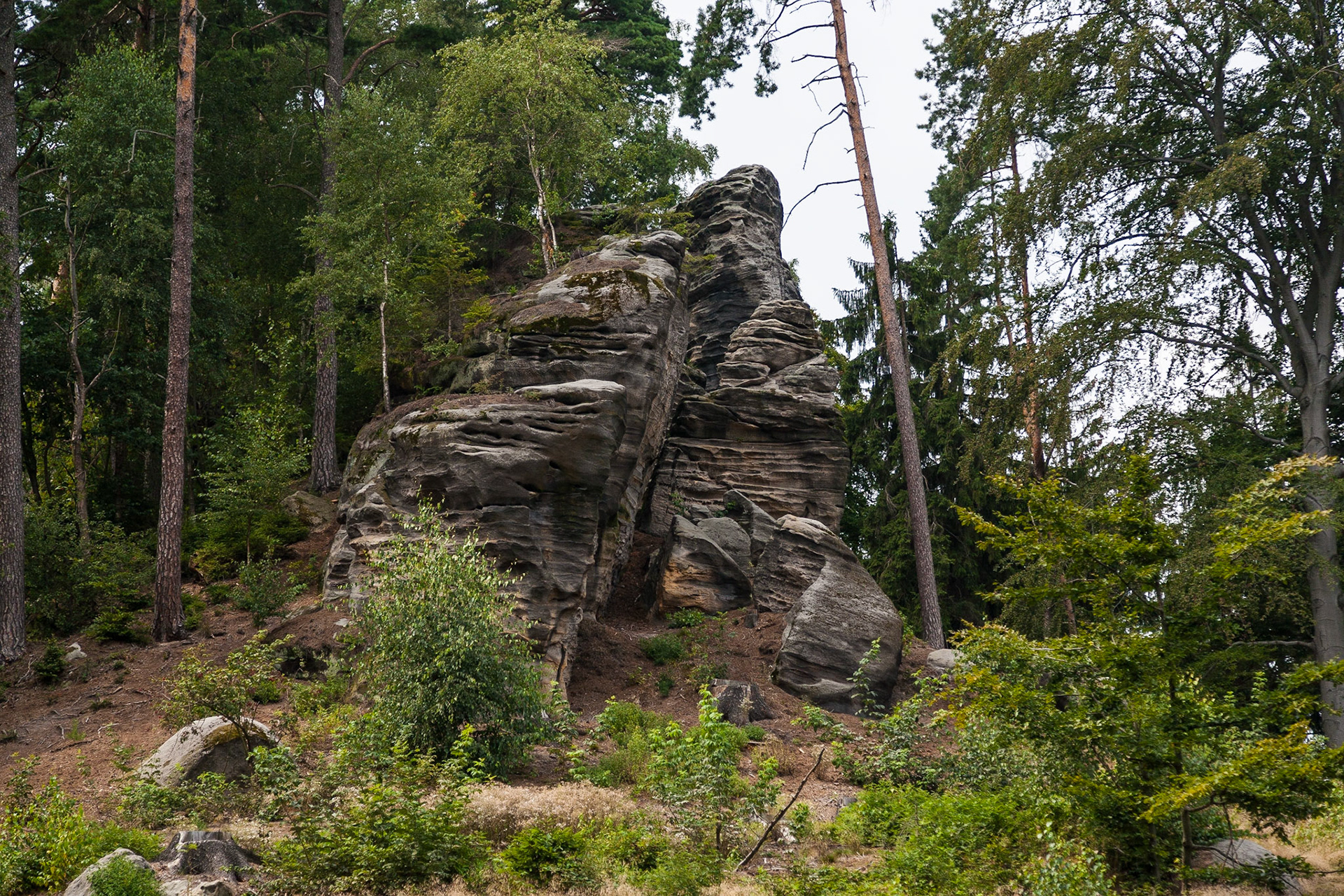 Jičín | Prachovske Rocks
