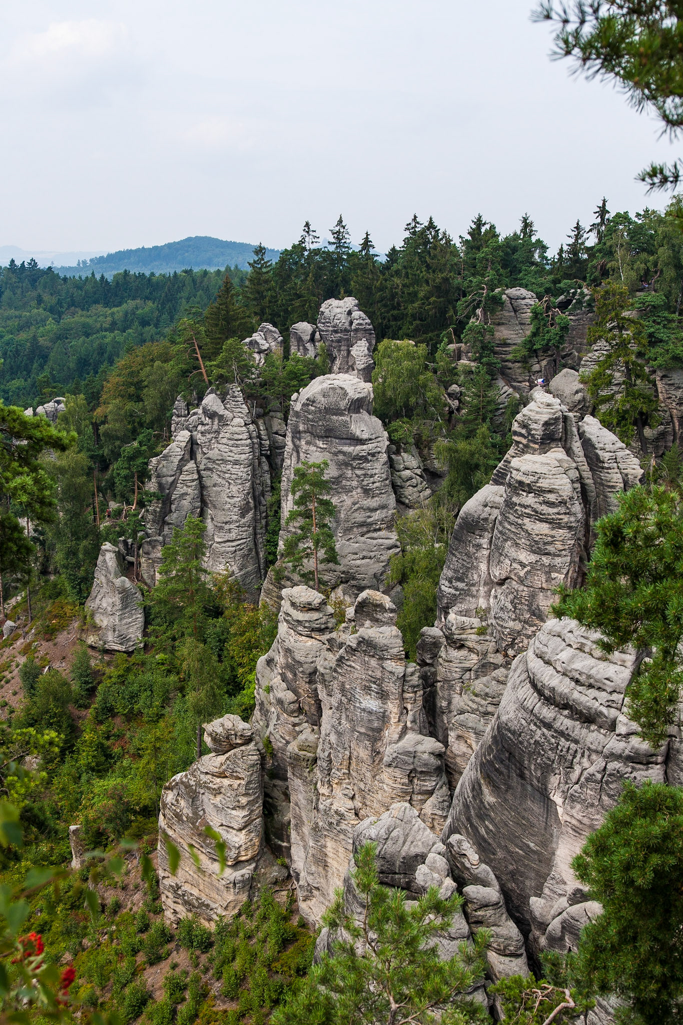 Jičín | Prachovske Rocks