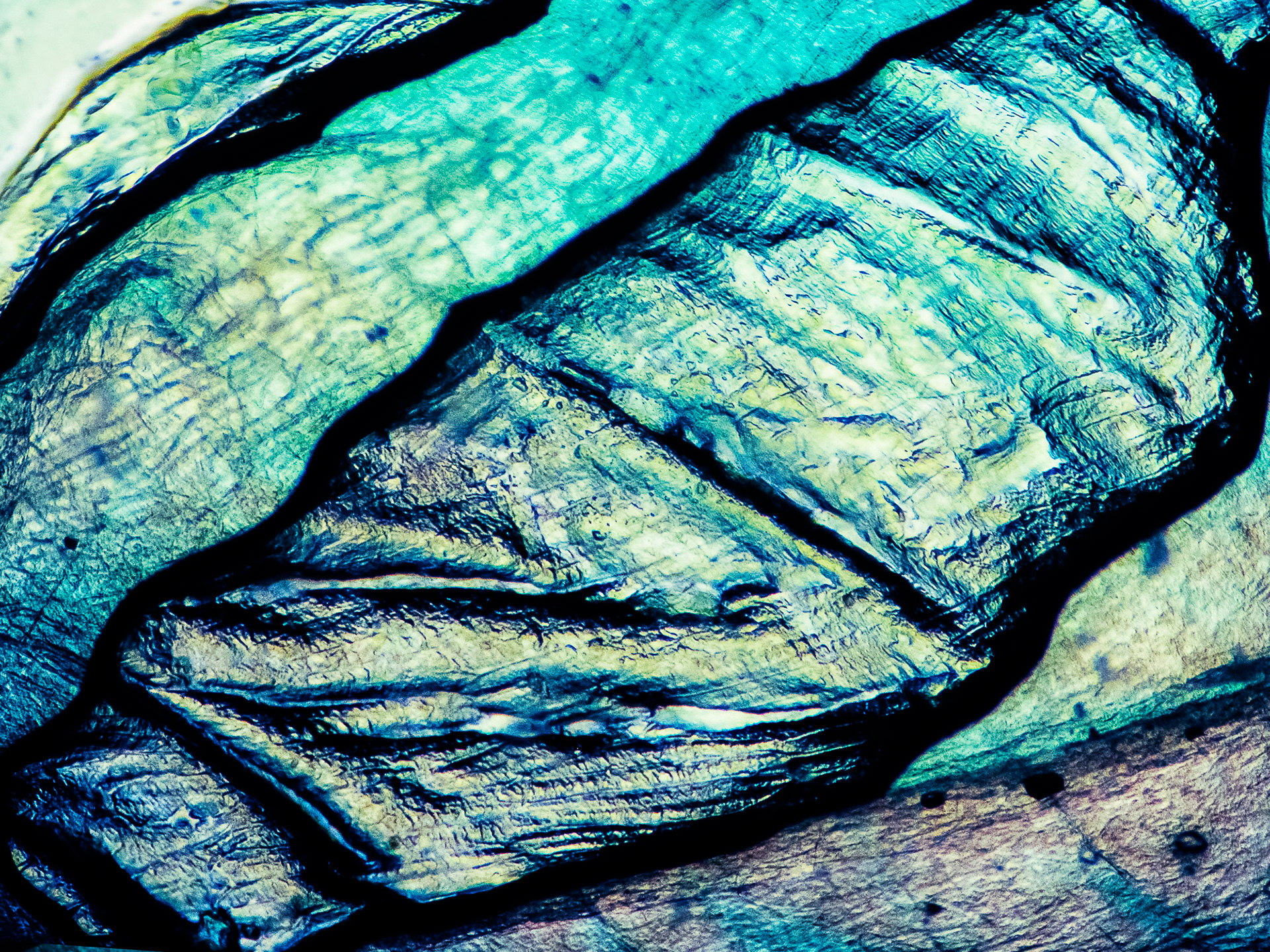 "Caipirinha blade #37 " Fine art paper pigment print 80w x 60h cm edition of 9