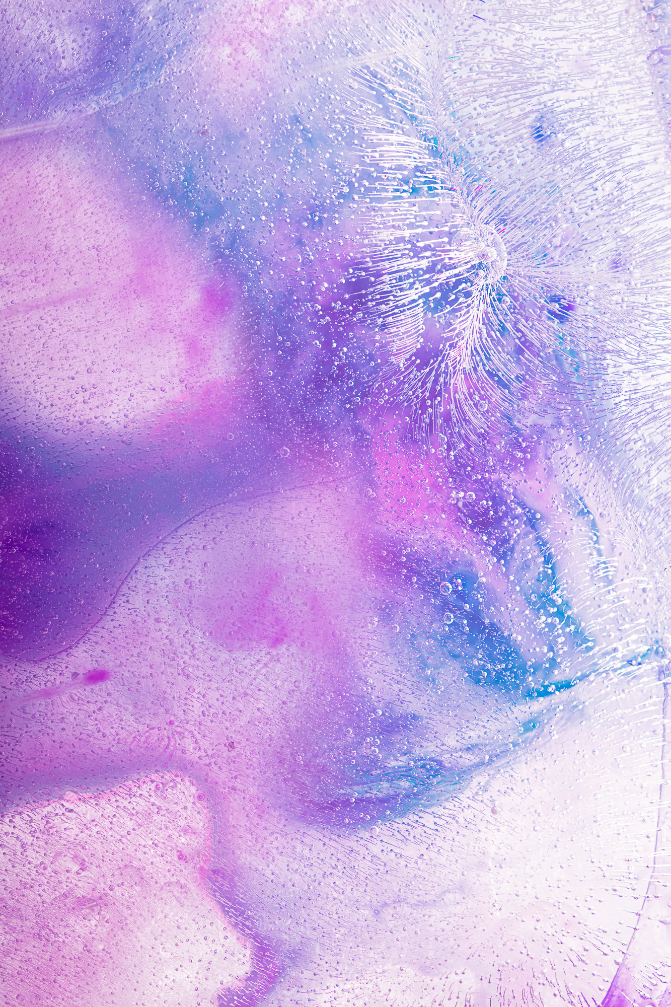 “Happy new year! 2027 “ Fine art paper pigment print 60w x 90h cm edition of 9