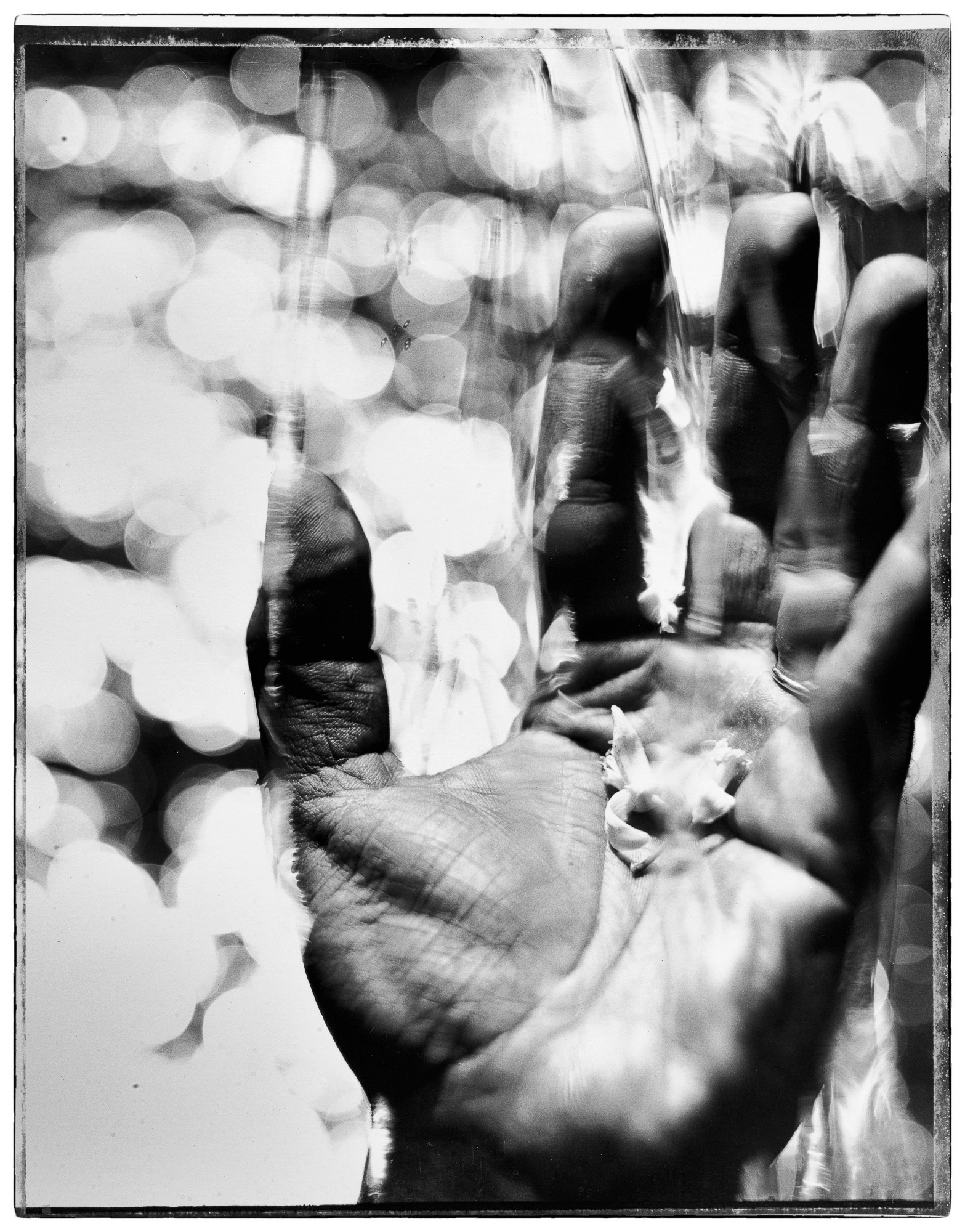 "Spring storm, Orange flower " Fine art paper pigment print 80w x 100h cm edition of 9