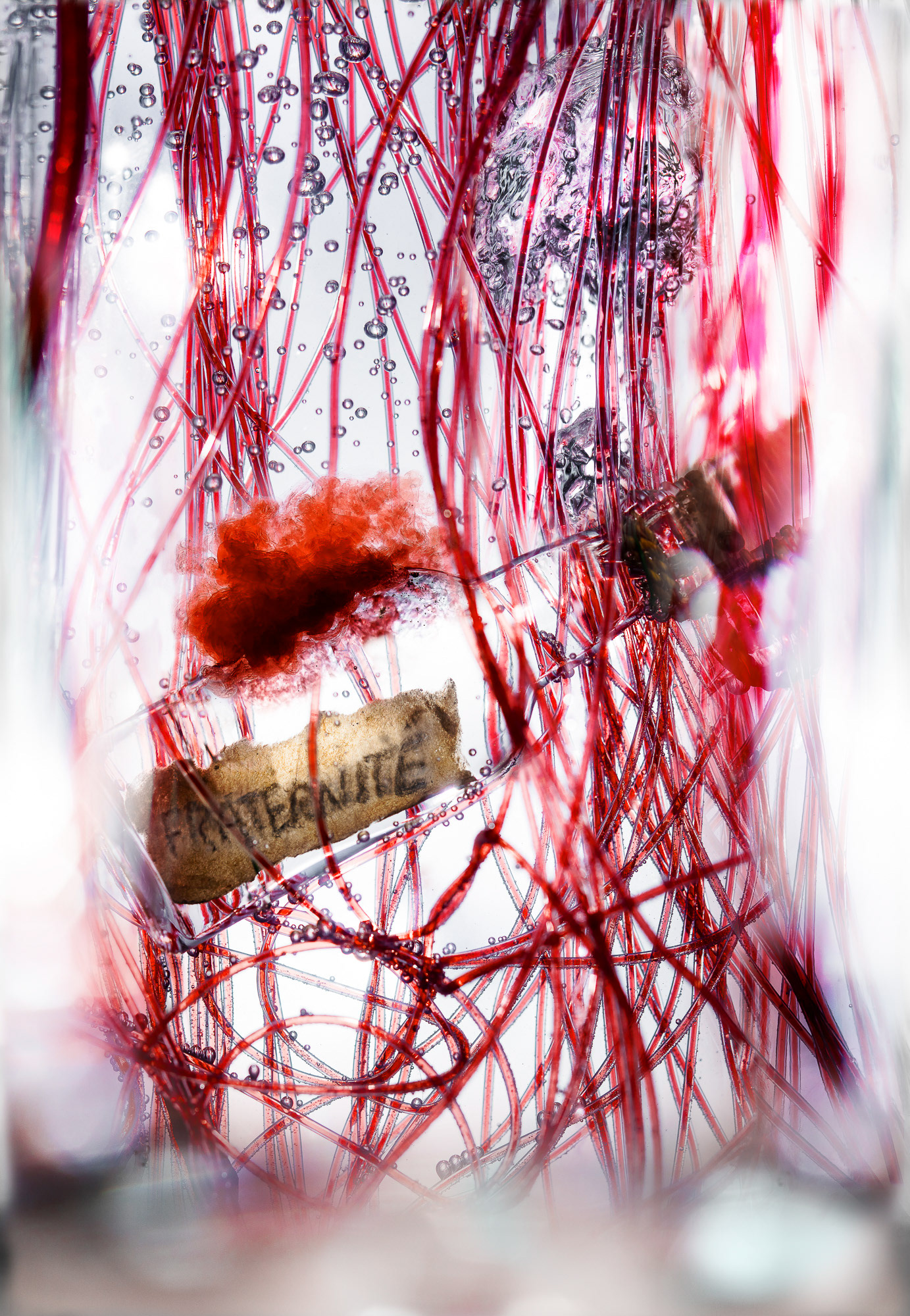 "Pass it on - Same blood" Fine art paper pigment print 69w x 100h cm edition of 9