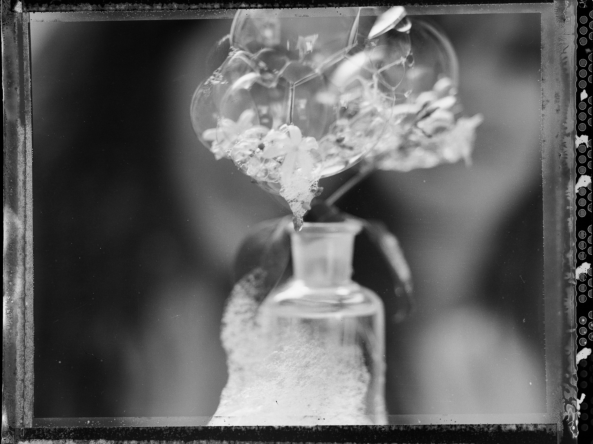 "Spring storm, Jasmine-Sunday " Fine art paper pigment print 100w x 80h cm edition of 9
