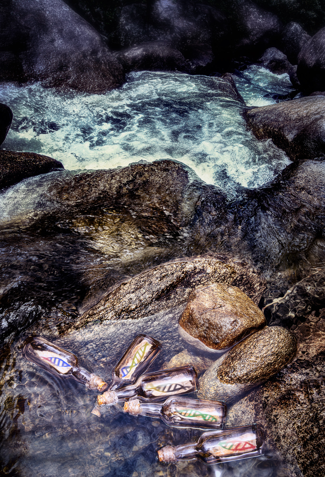 "Pass it on - Tolerance " Fine art paper pigment print 68w x 100h cm edition of 9
