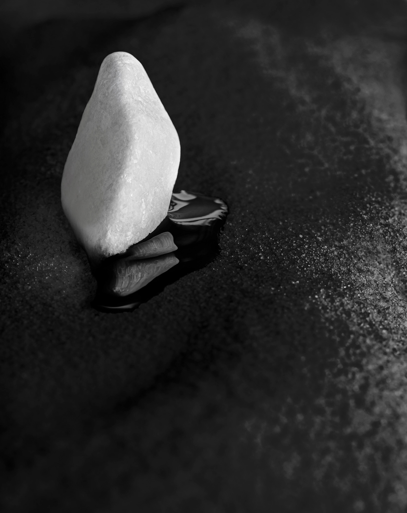 "Hidden obvious #123" Fine art paper pigment print 100w x 79h cm edition of 9