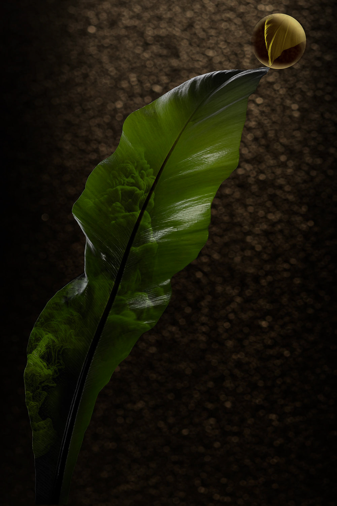 "Brazilian foliage 2" Fine art paper pigment print 40w x 60h cm edition of 9