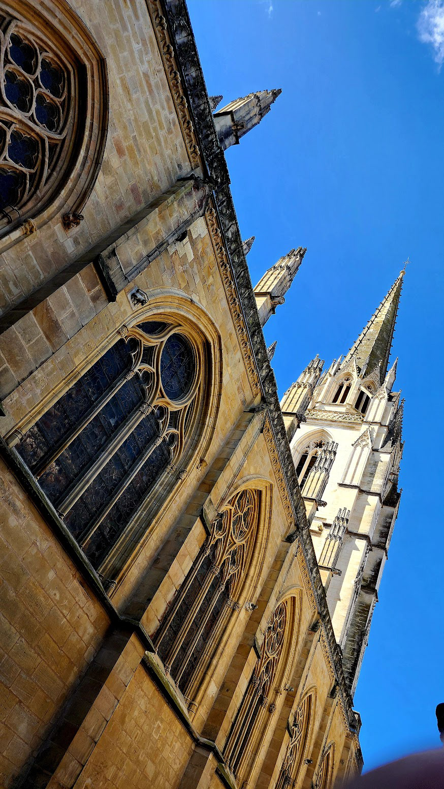 ANOTHER VIEW OF THE CATHEDRAL SAINTE MARIE