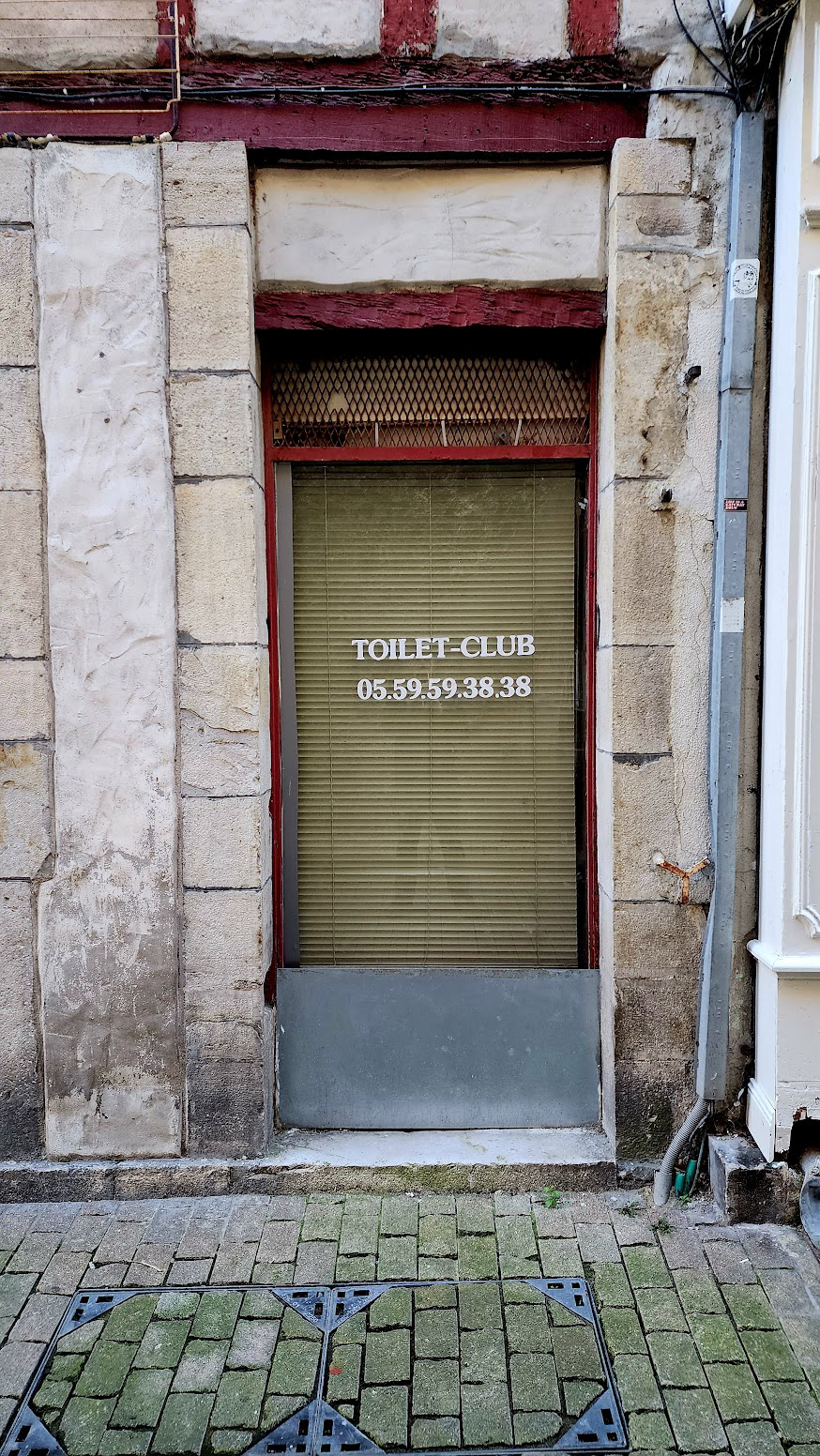 TOILET CLUB