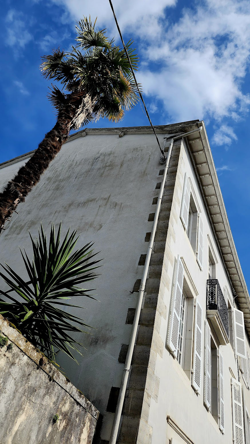 ARCHITECTURE WITH PALM