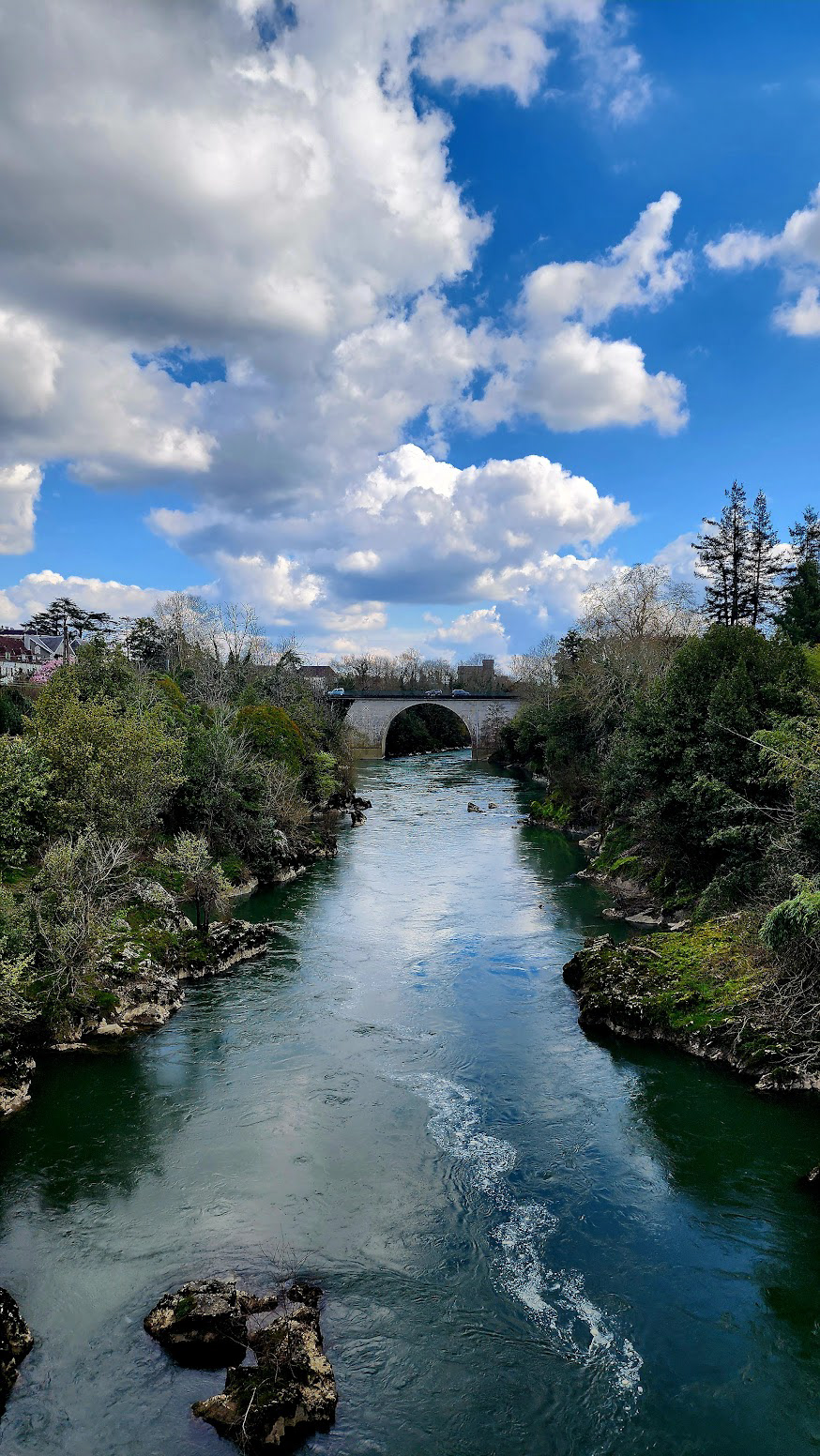 View From Pont Vieux