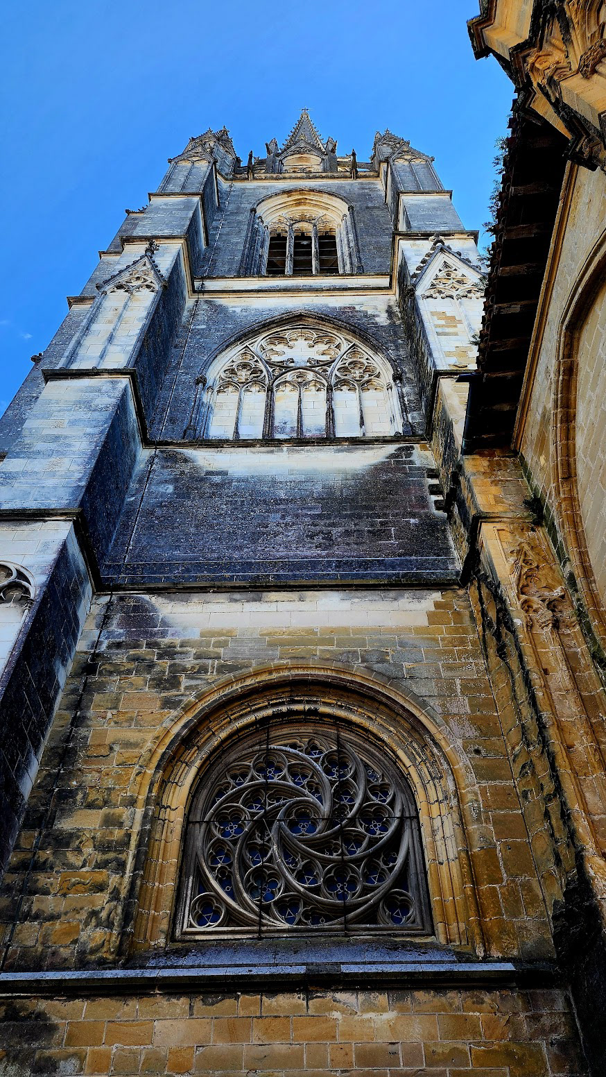 ARCHITECTURE OF THE CATHEDRAL SAINTE MARIE