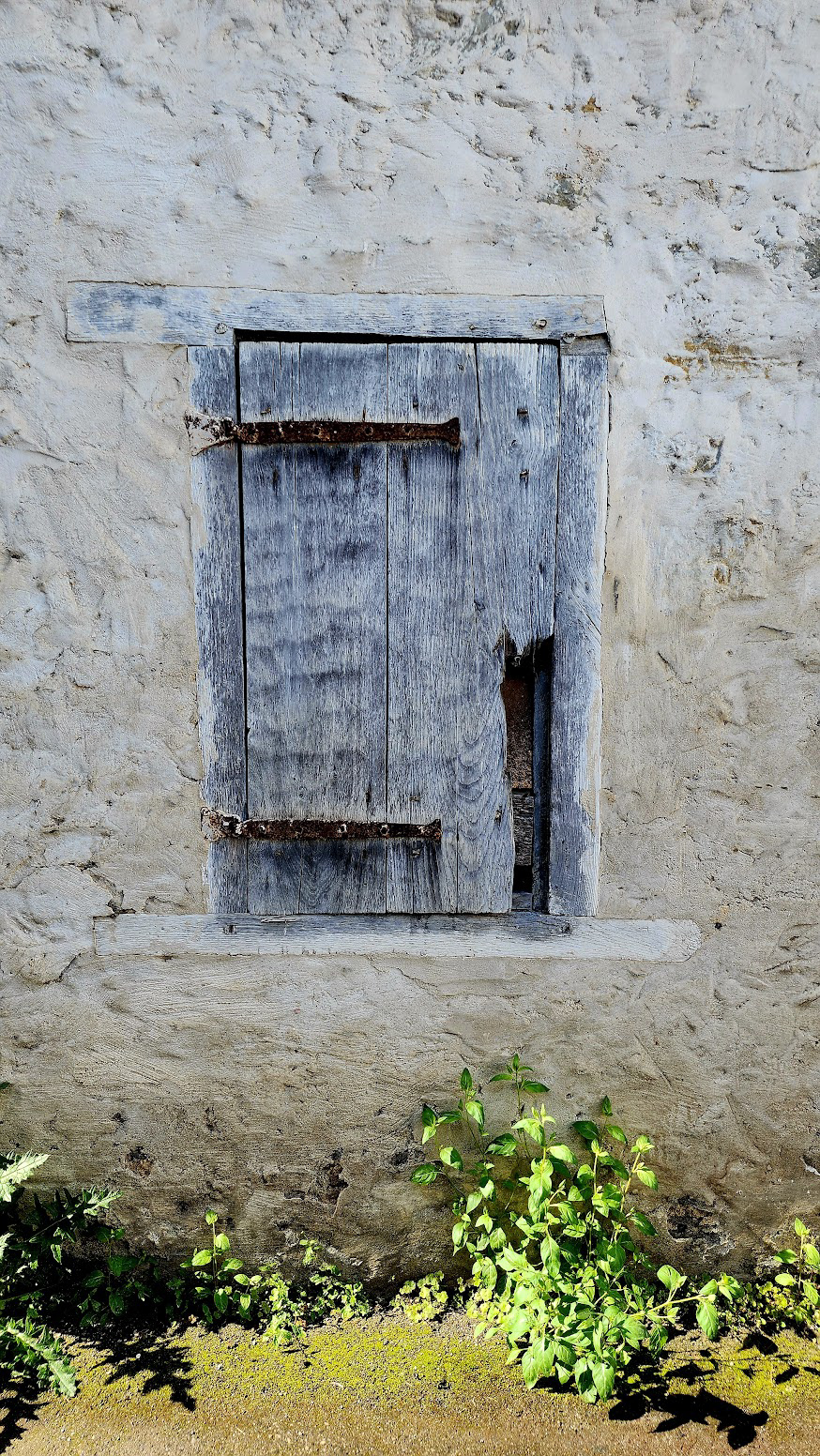 ARCHITECTURAL ELEMENT DECAY