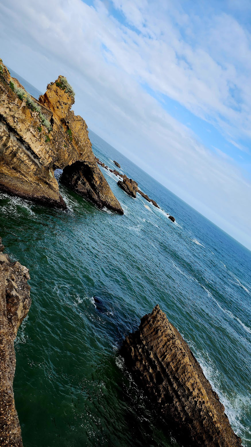 Sea Scene in Biarritz