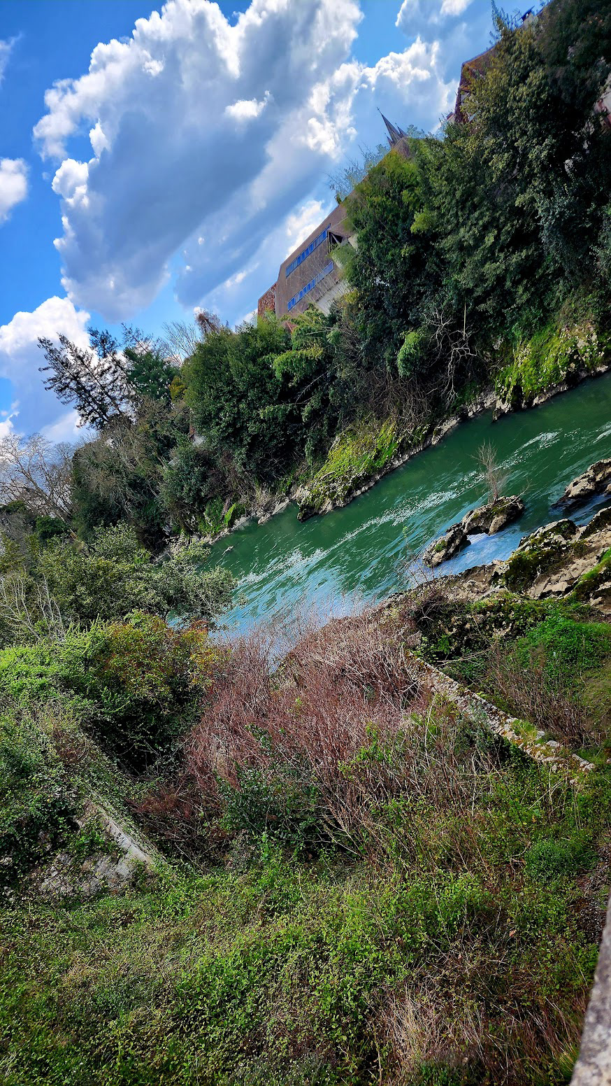 View from Pont Vieux