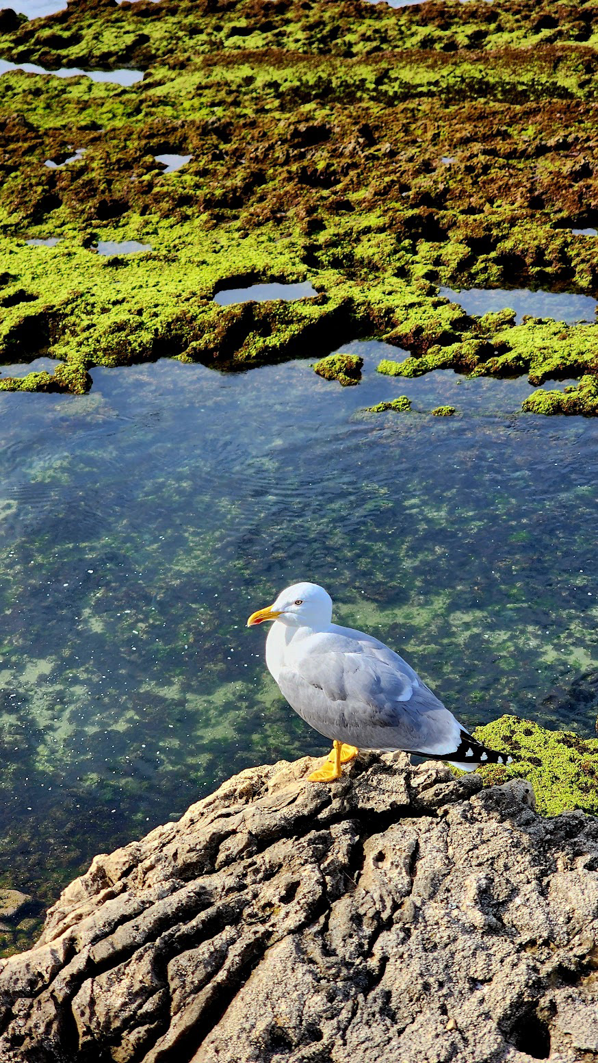 Chilling in Biarritz
