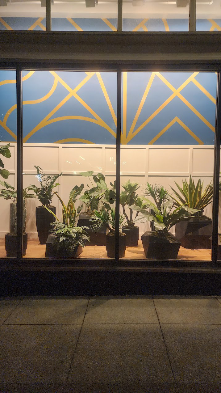 i dig all these plants