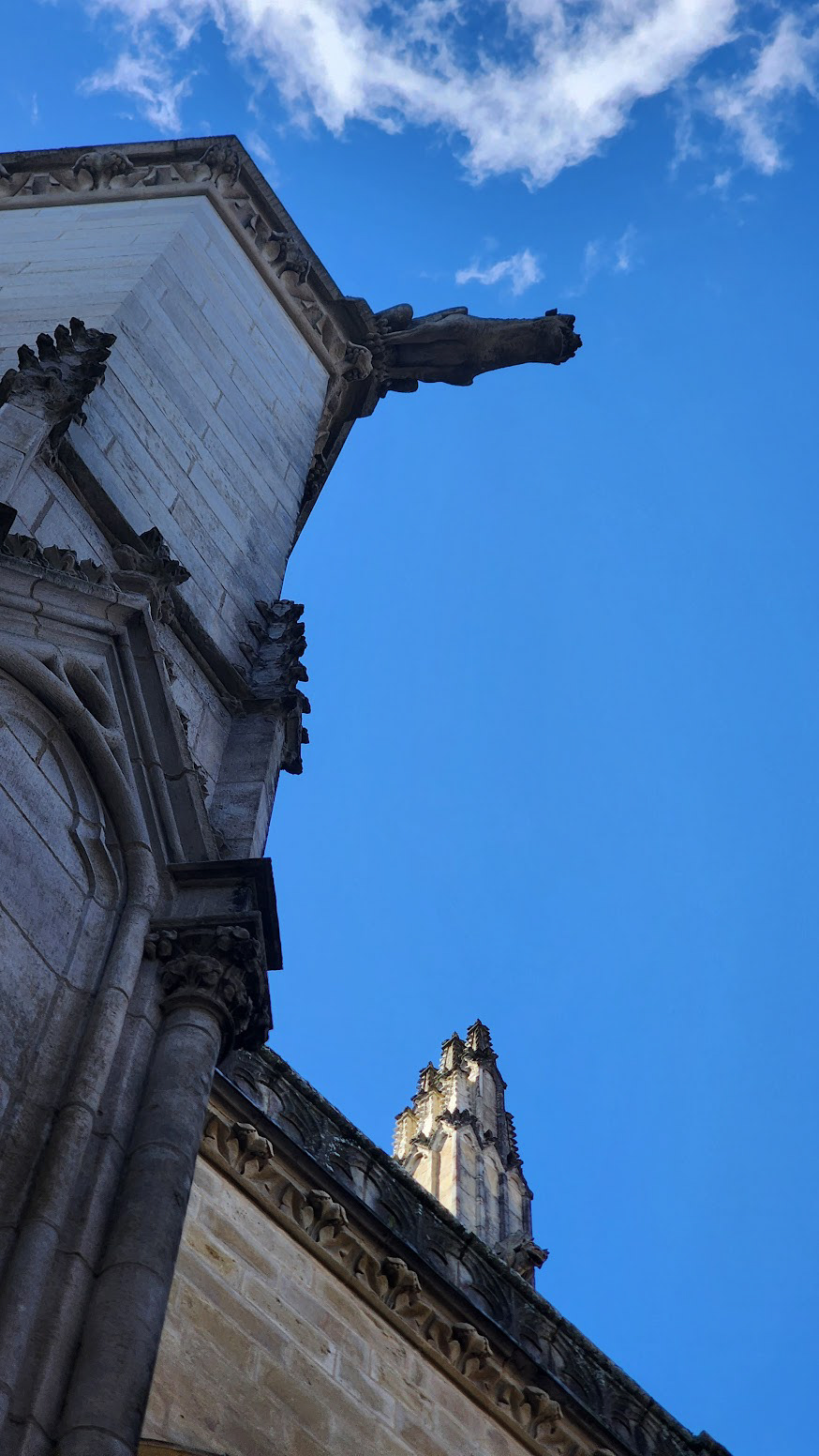 GARGOYLE ON CATHEDRAL SAINTE MARIE