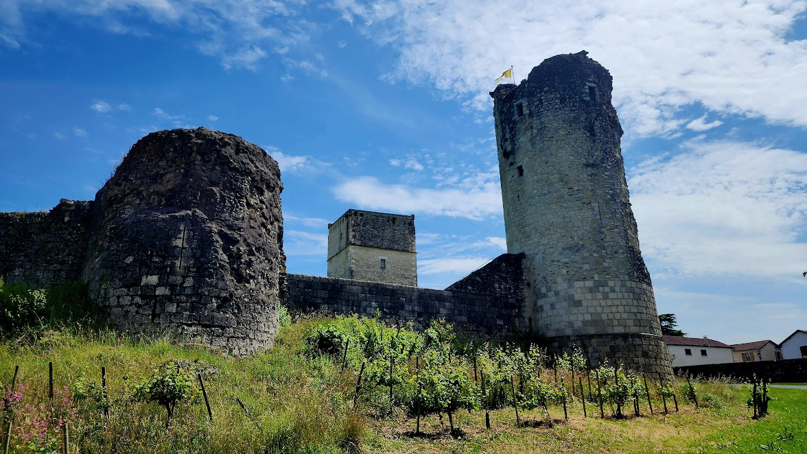 Castle Ruin in Bellocq