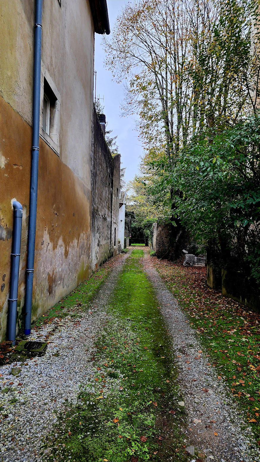 Alley
