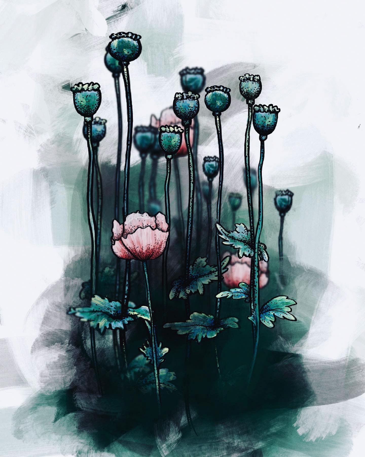 POPPIES by Amy Sexauer - Book Cover Art