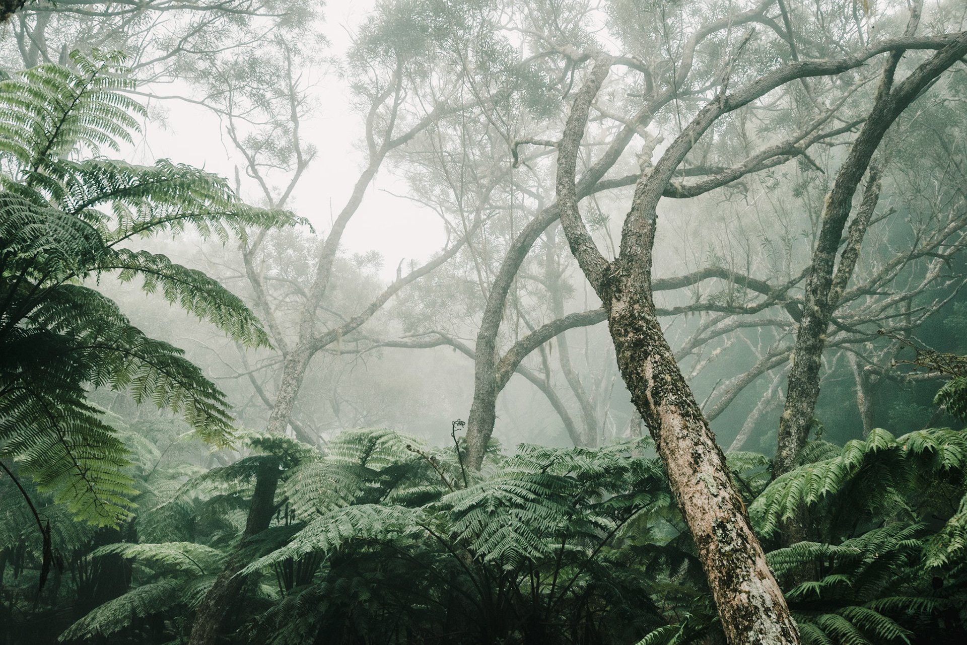 Réunion