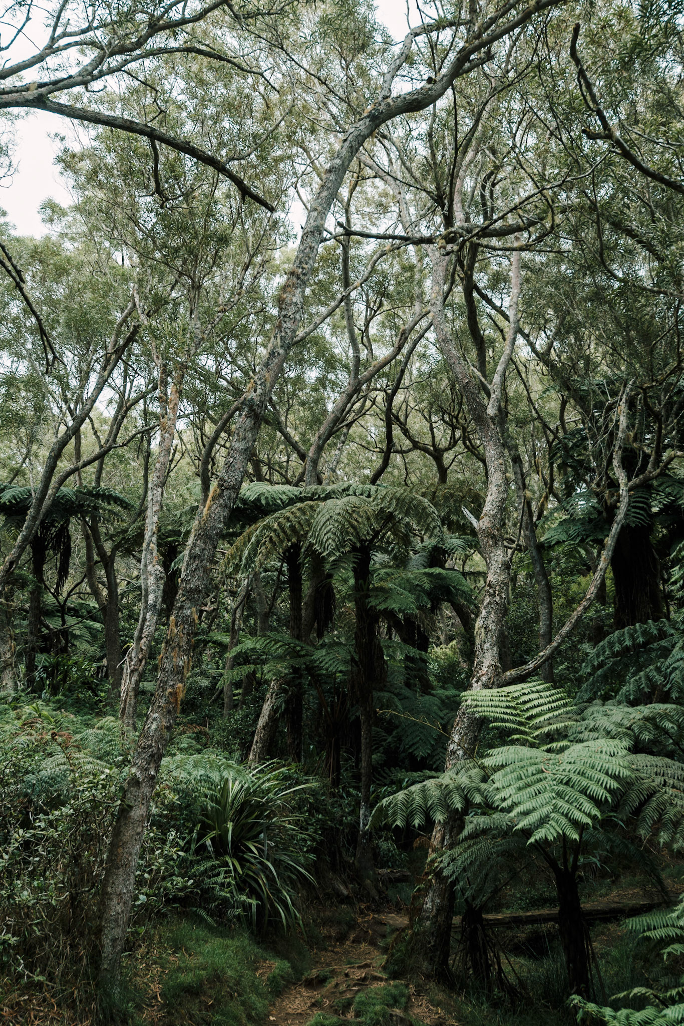 Réunion