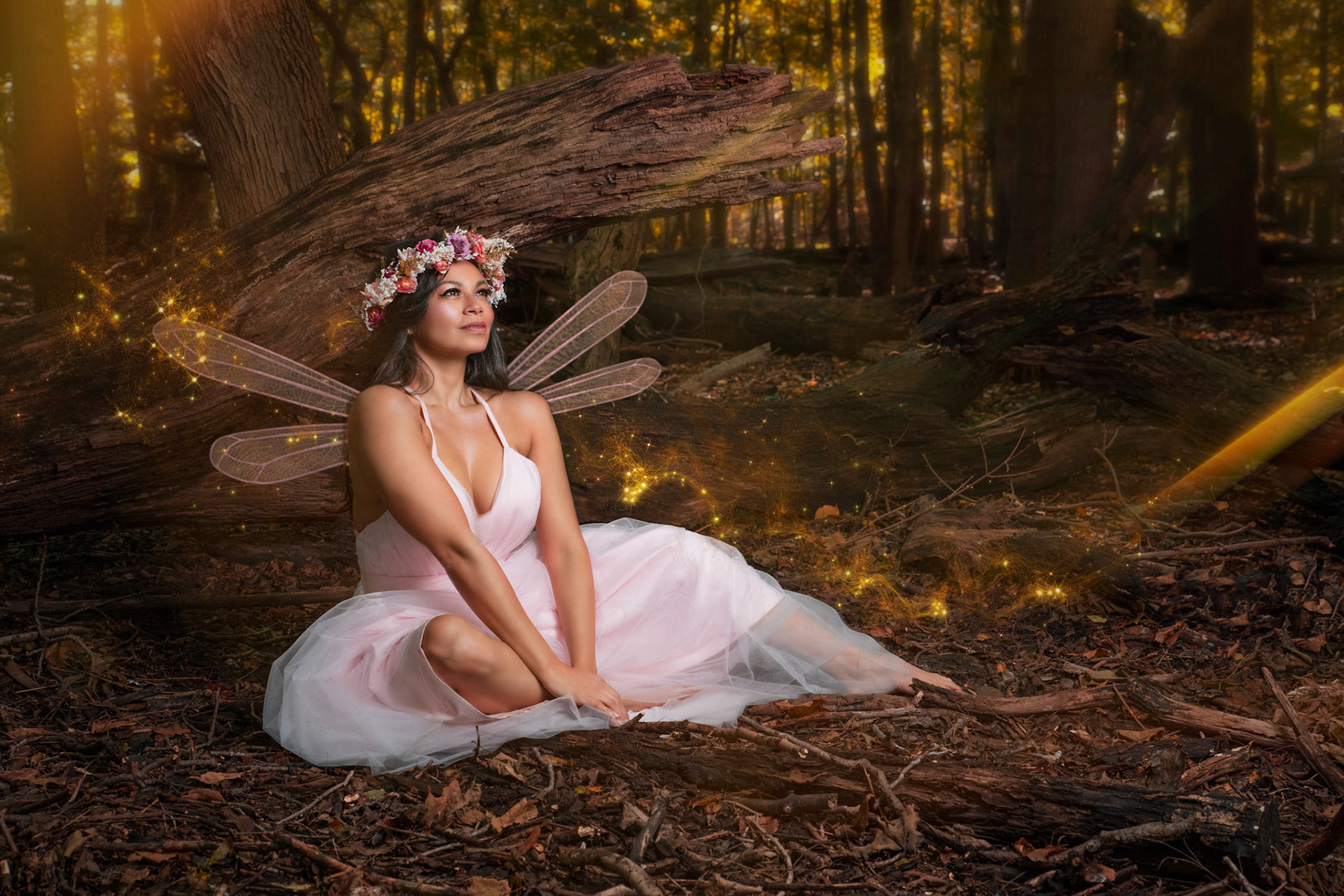 Fairy Tales