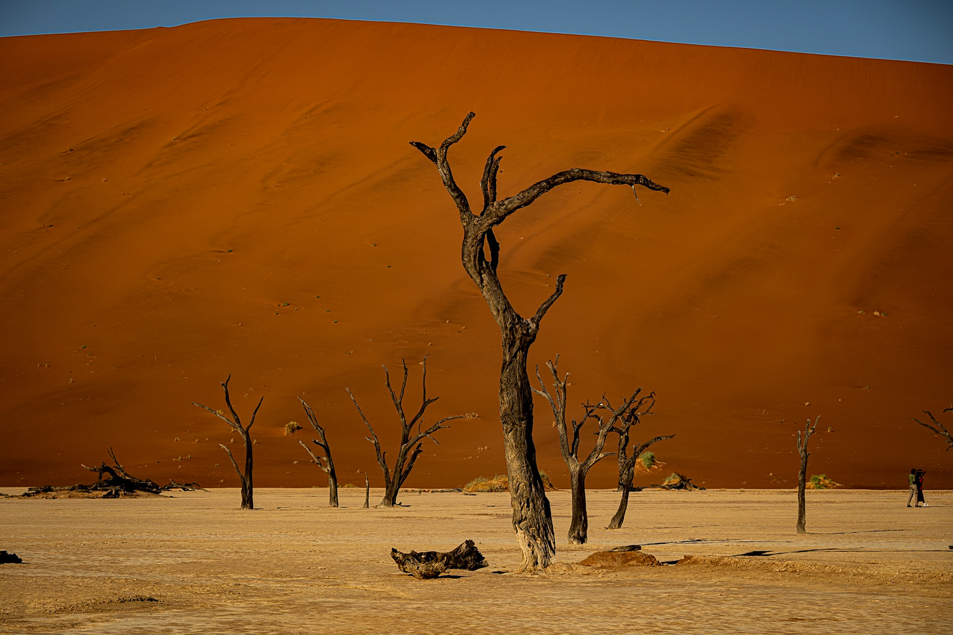 Deadvlei