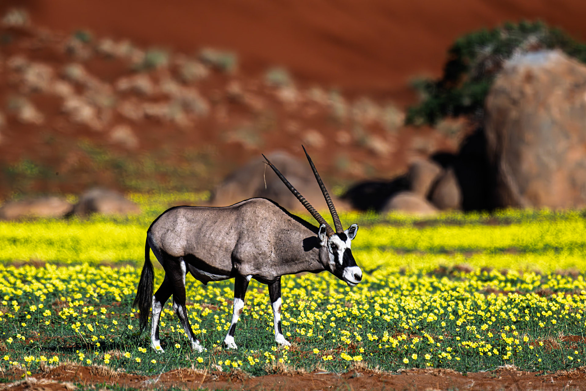 Gembok, And Beyond, Namibia