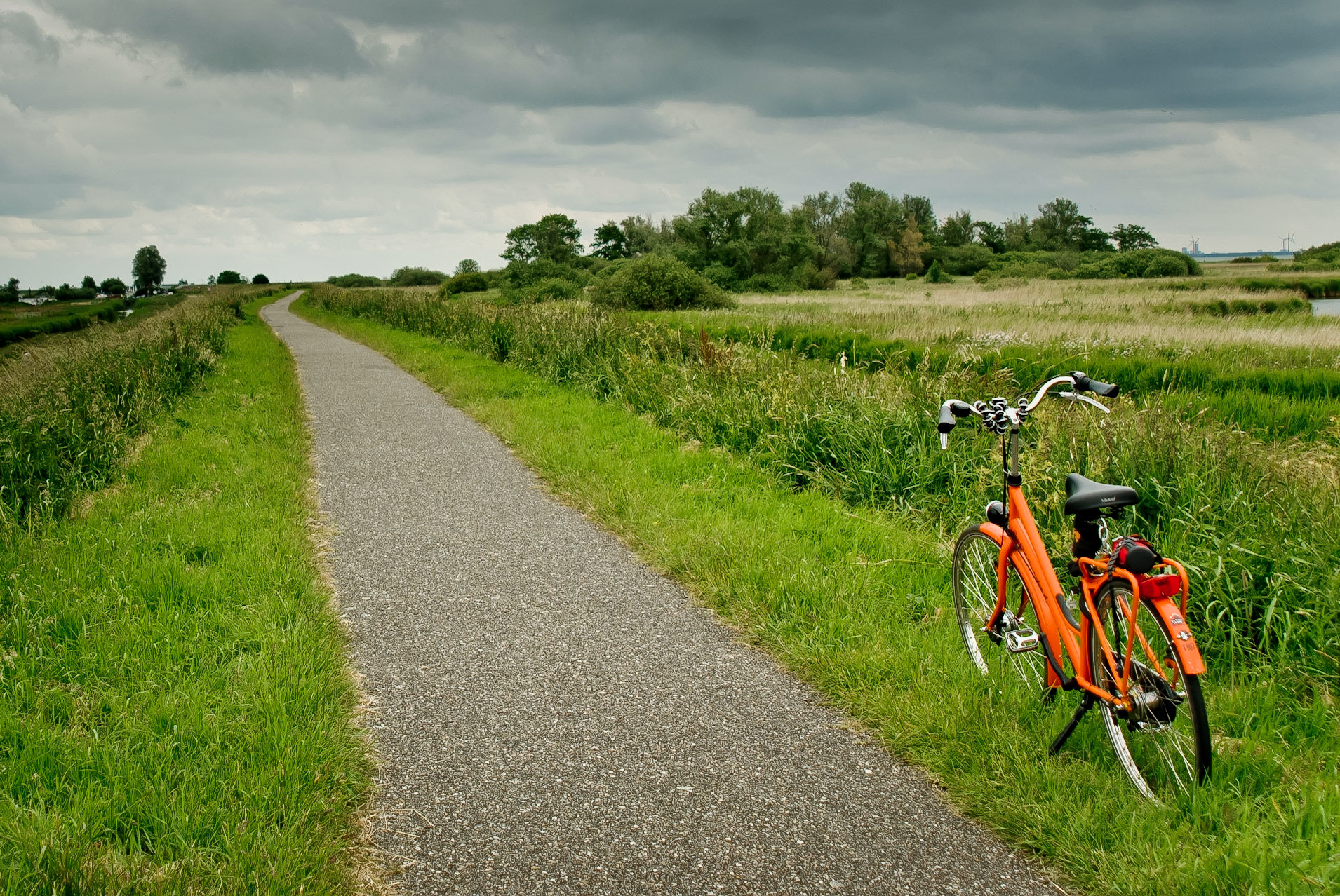 Bike path in the Waterlands outside Amsterdam, Netherlands