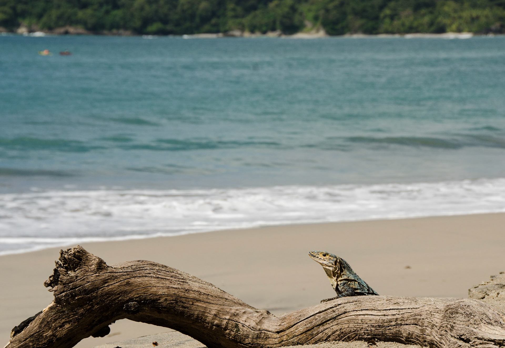 Playa Espadilla Sur, Manuel Antonio National Park, Costa Rica