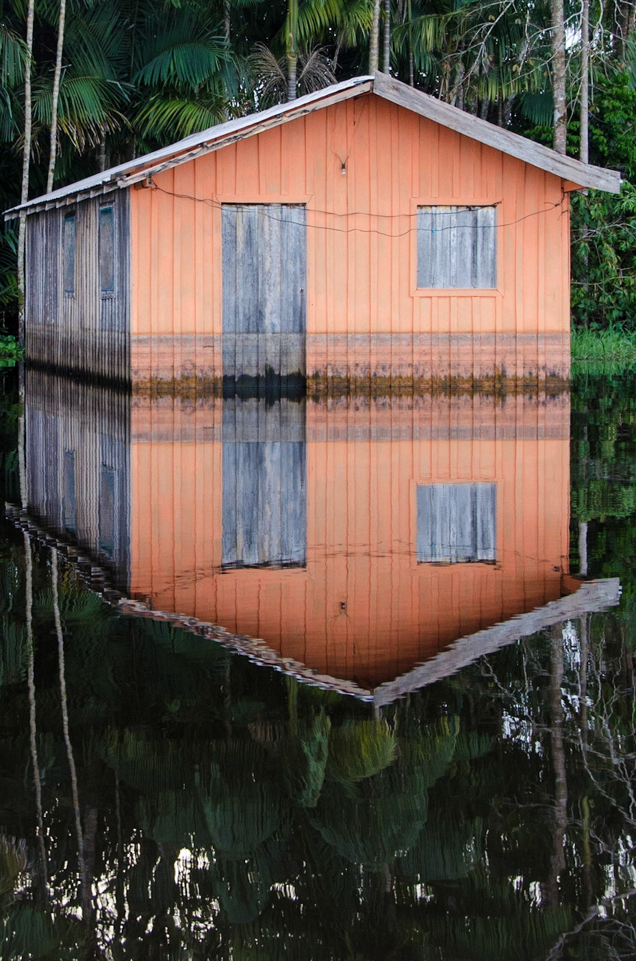 Flooded Amazon River