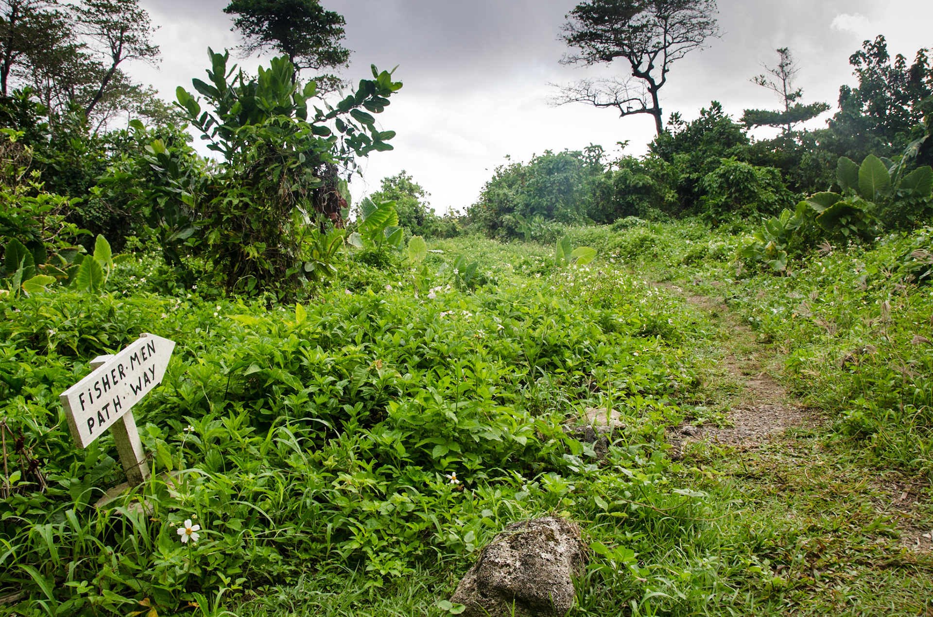 Fishermans path in Drapers, Portland, Jamaica.