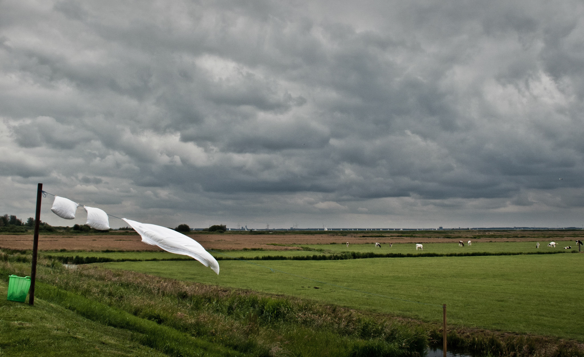 Waterlands District, Amsterdam